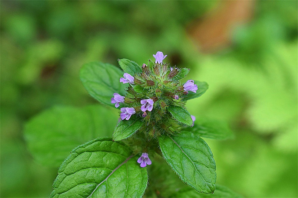 ～随拍·杂片～