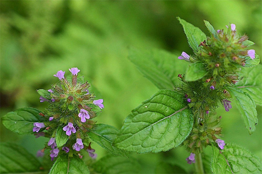 ～随拍·杂片～