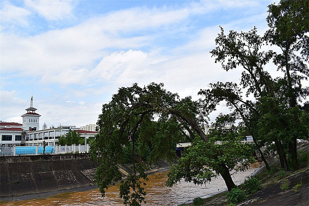 ～随拍·杂片～