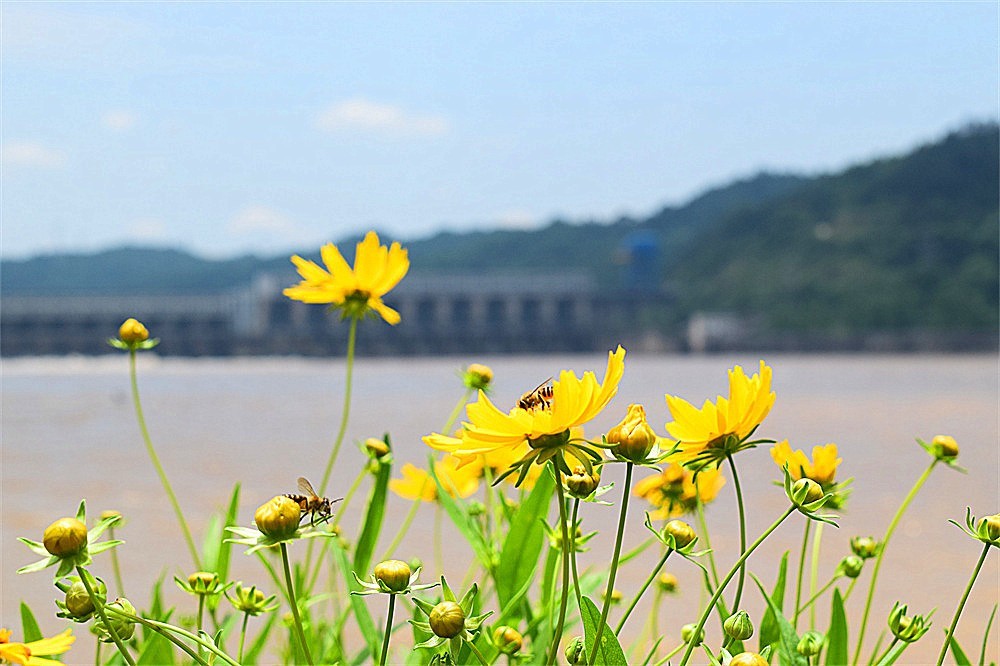 ～随拍·杂片～