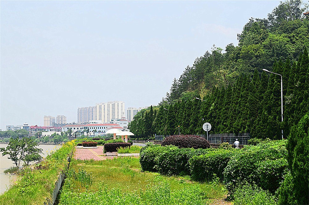 ～随拍·杂片～