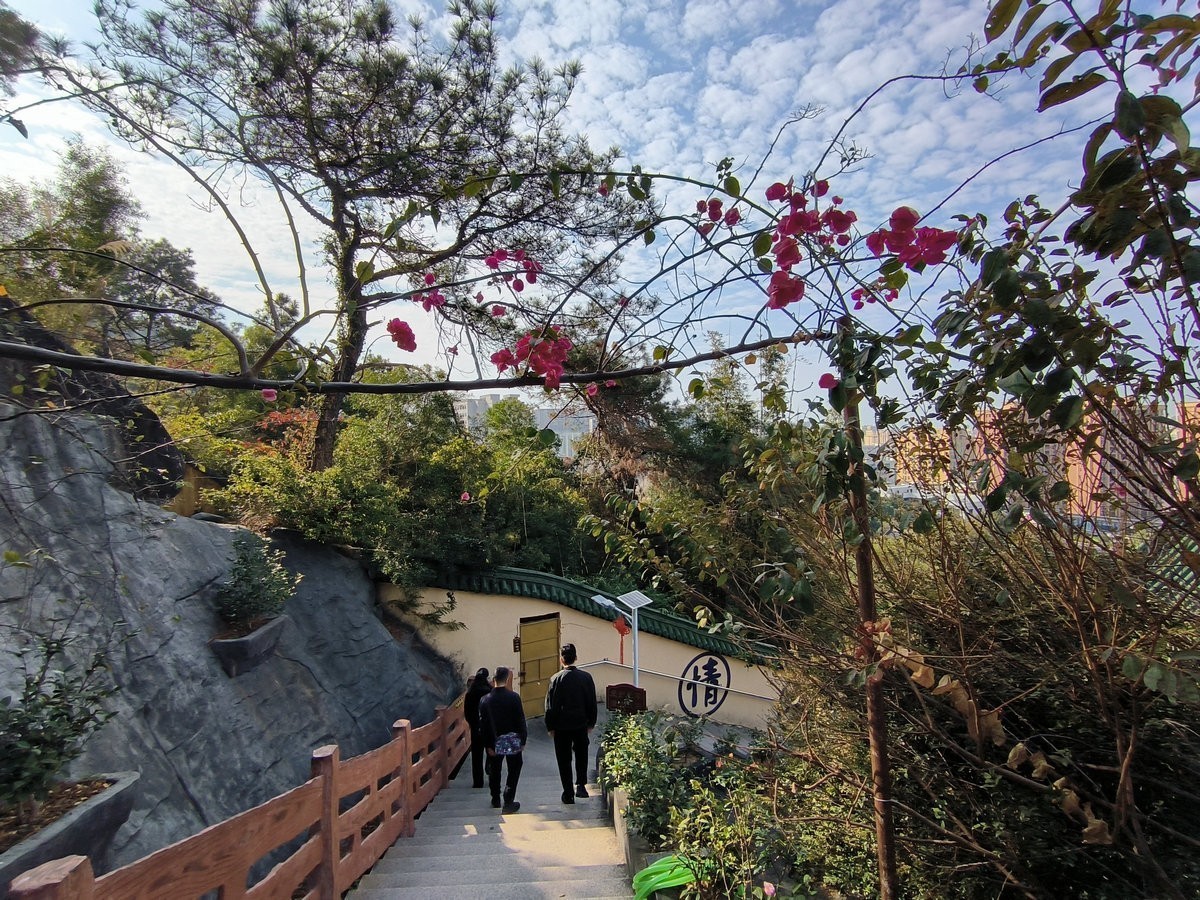 2025春节 广东行（34）众生平等