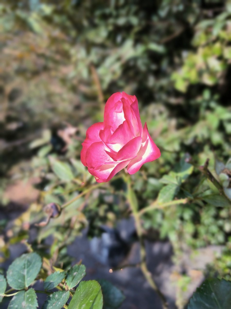 2025春节 广东行（34）众生平等