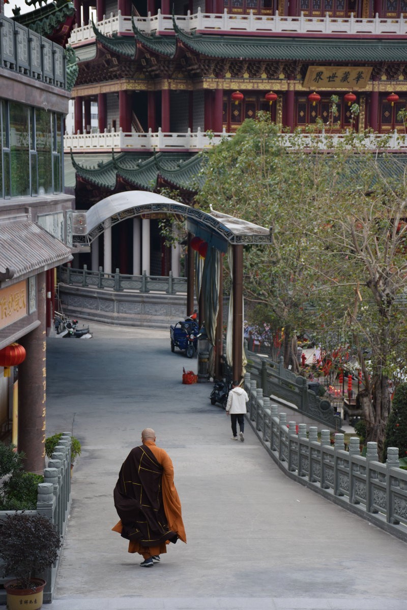 2025春节 广东行（34）众生平等