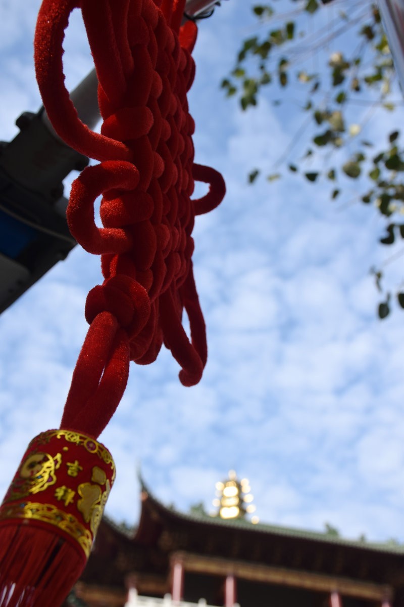 2025春节 广东行（34）众生平等