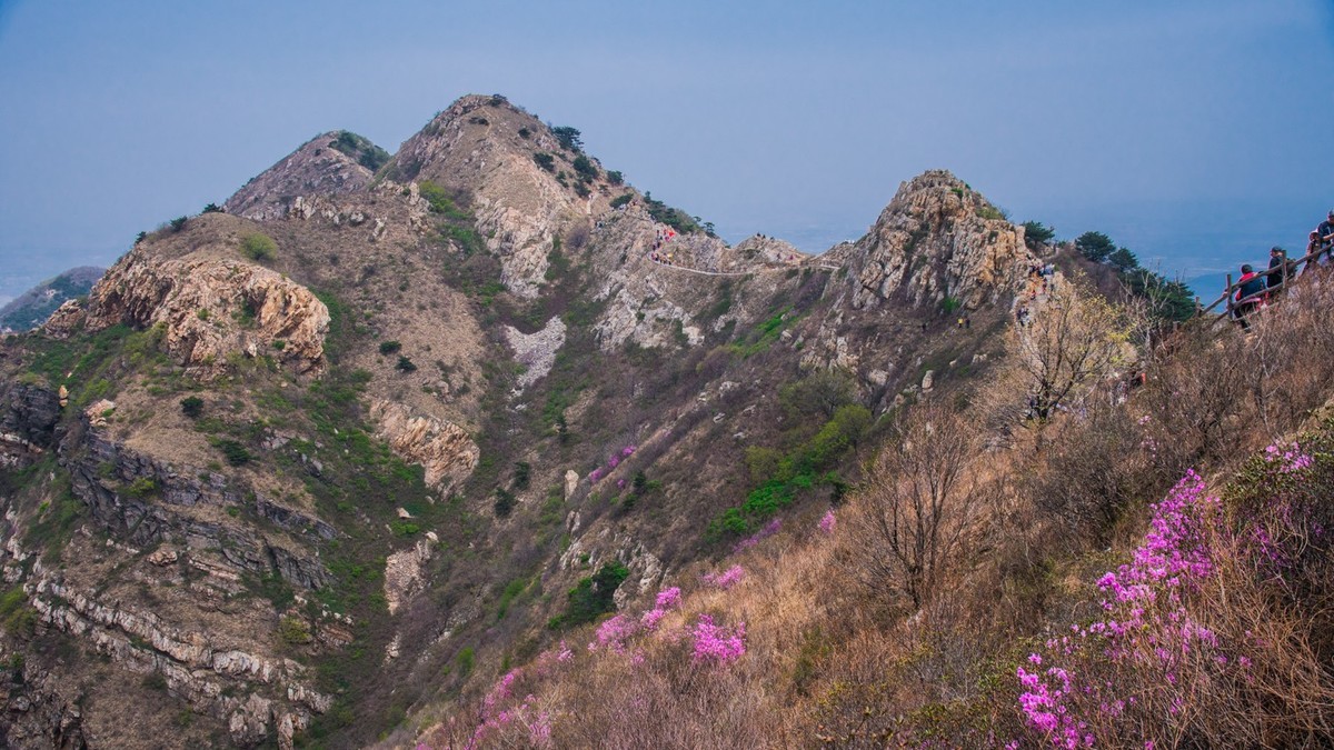 大 黑 山 上 杜 鹃 红 （ 六 ）