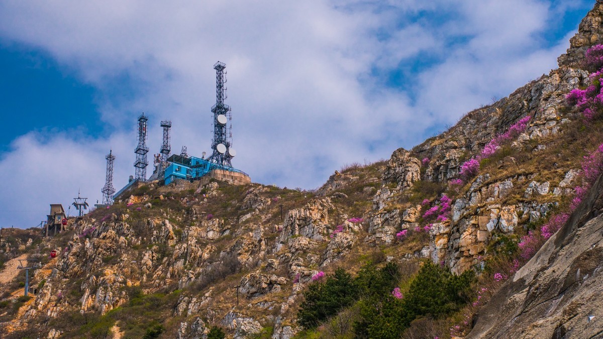 大 黑 山 上 杜 鹃 红 （ 六 ）