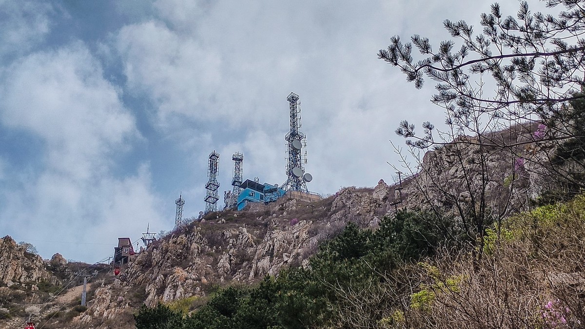 大 黑 山 上 杜 鹃 红 （ 六 ）