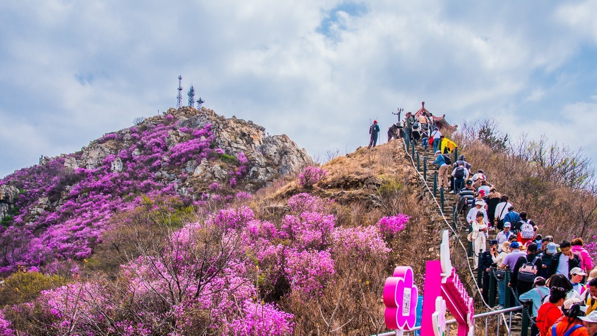 大 黑 山 上 杜 鹃 红 （ 六 ）
