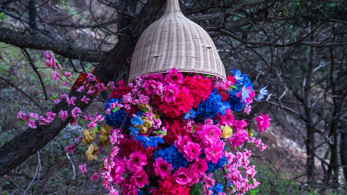 大 黑 山 上 杜 鹃 红 （ 六 ）