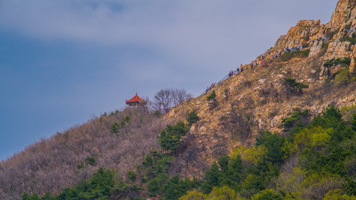 大 黑 山 上 杜 鹃 红 （ 六 ）
