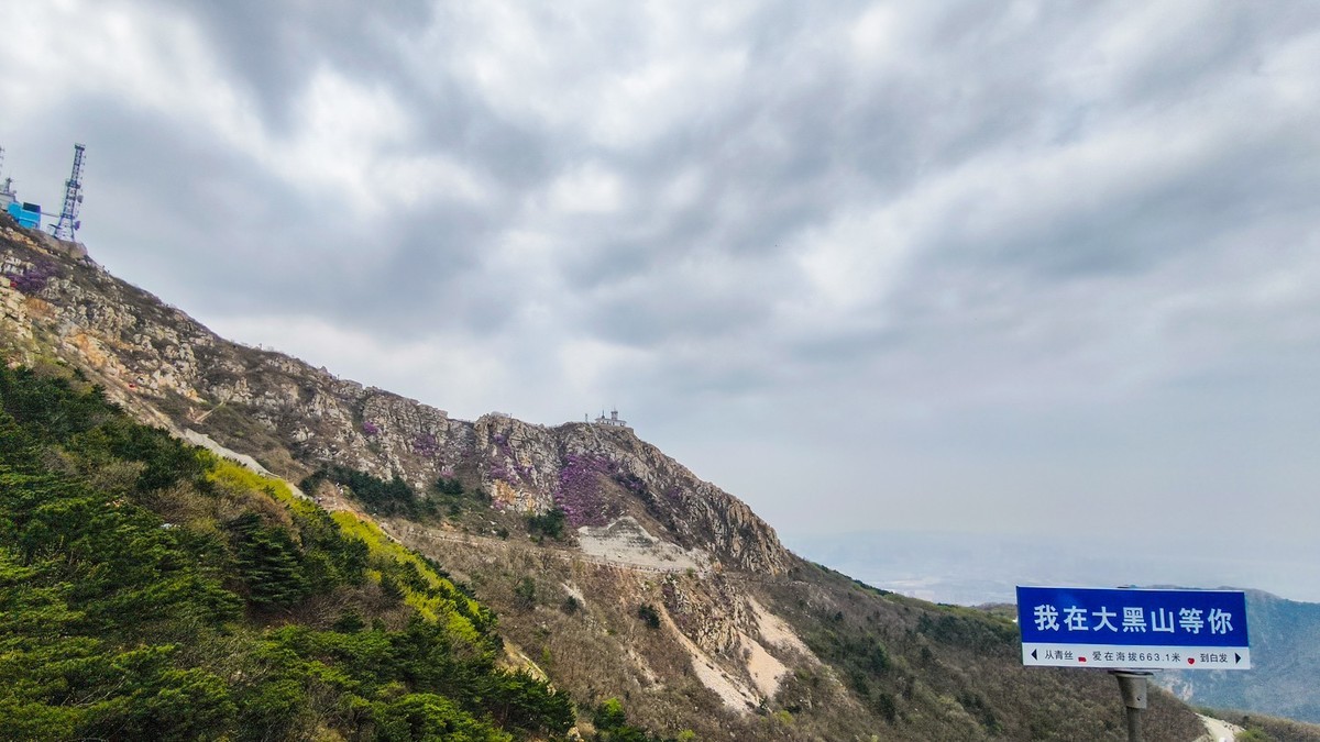 大 黑 山 上 杜 鹃 红 （ 六 ）
