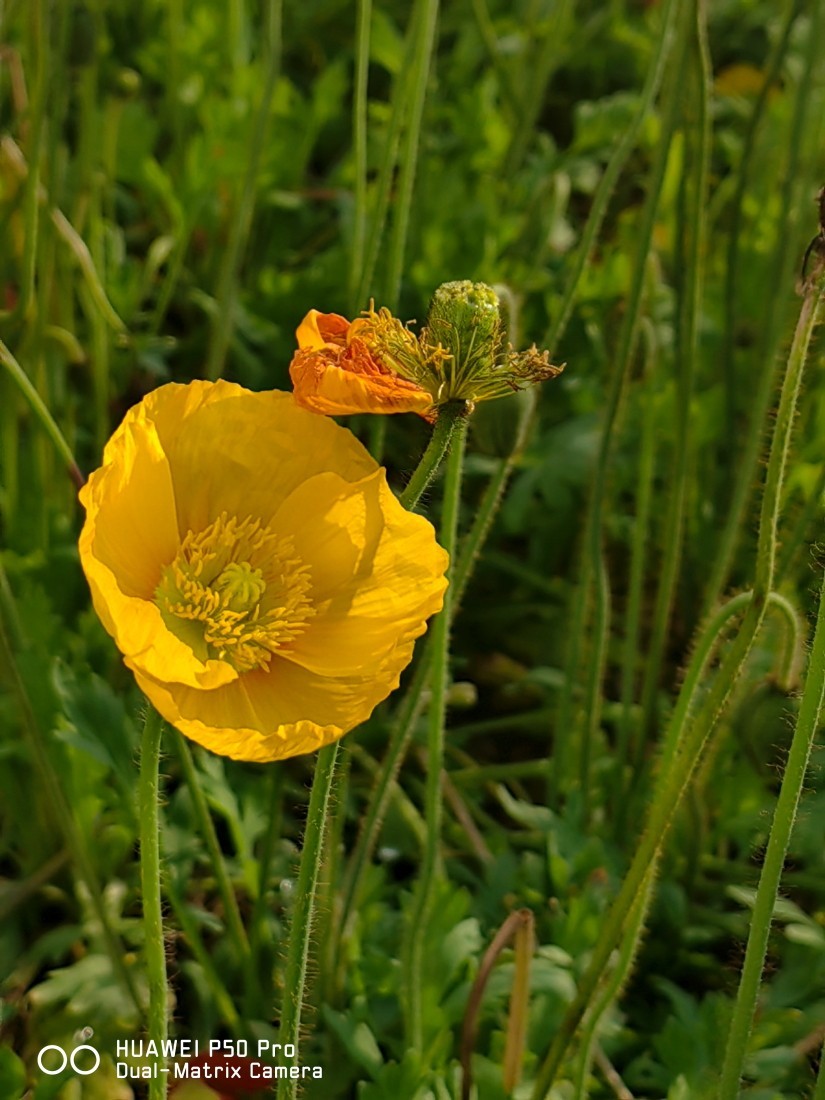 外出随拍（续370）.