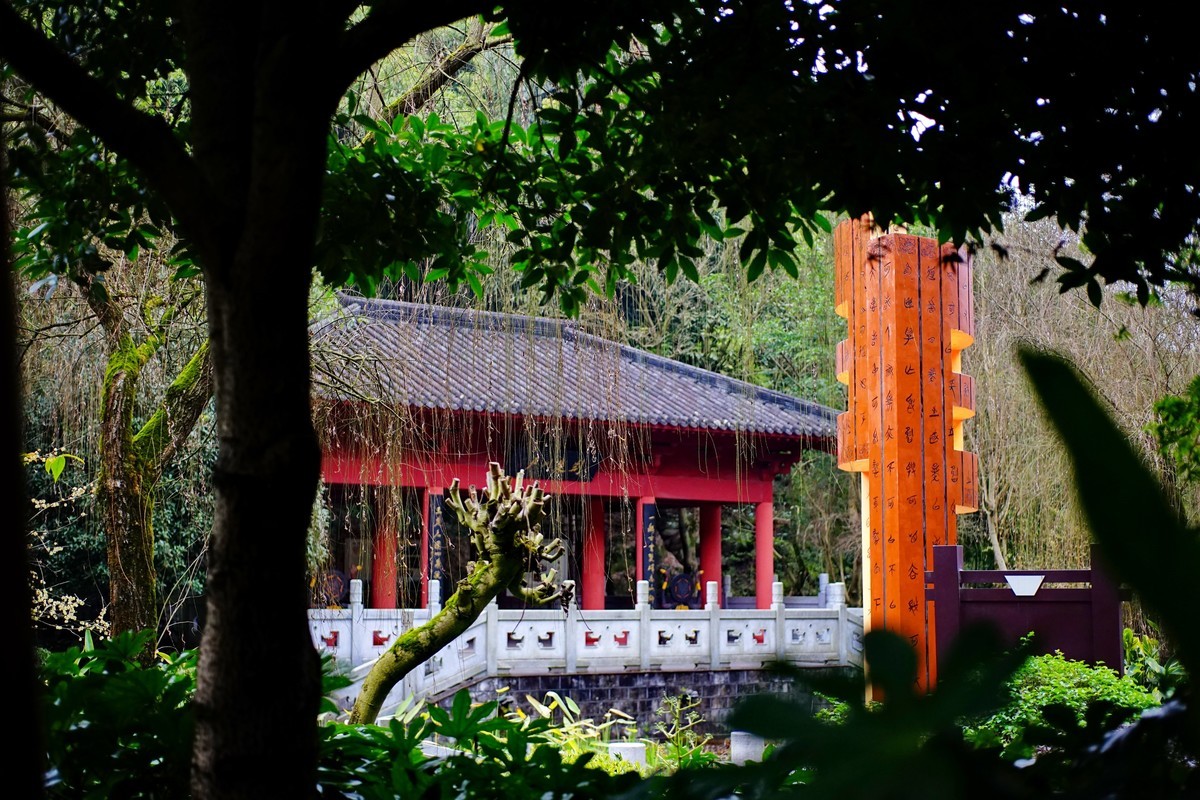 美能达50微拍园博园