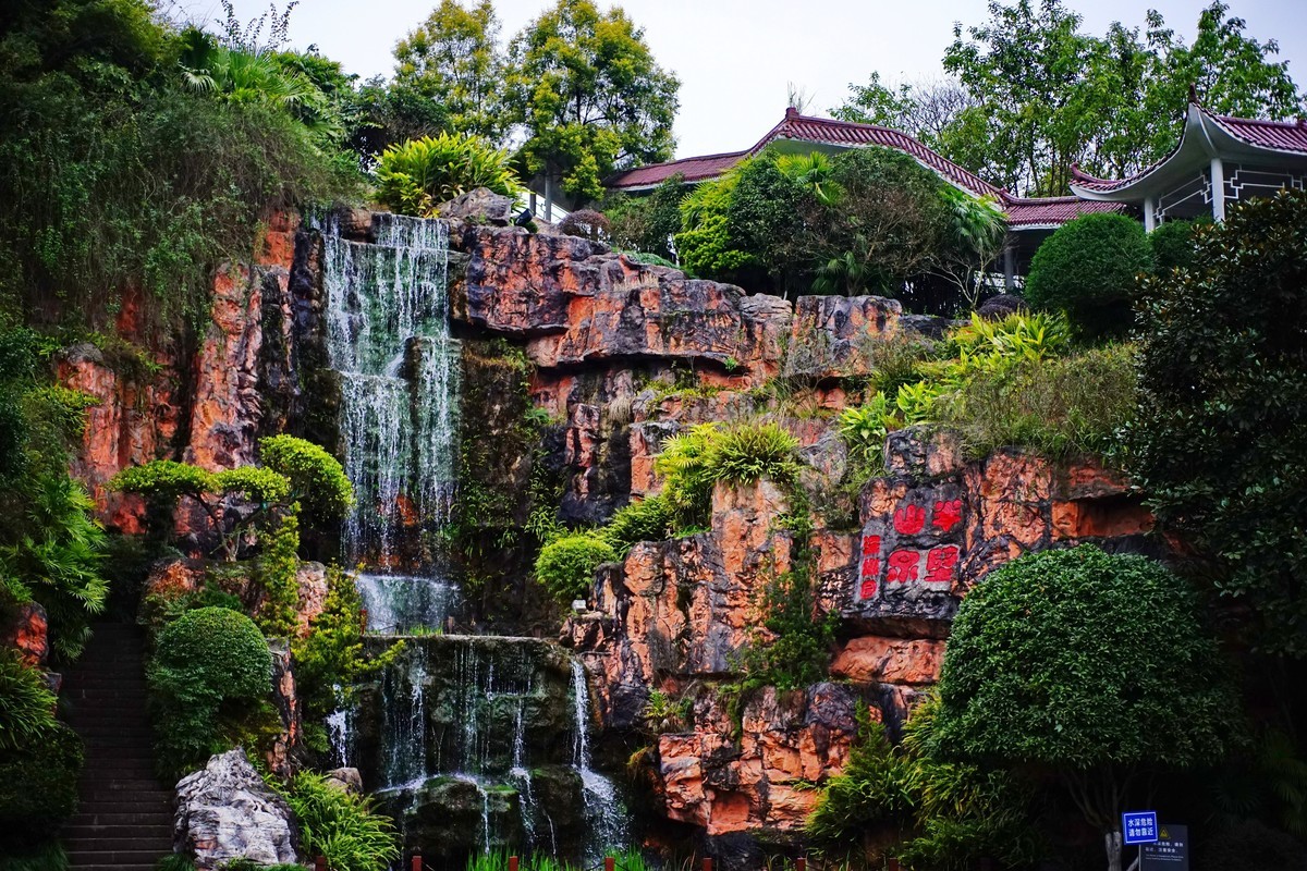 美能达50微拍园博园