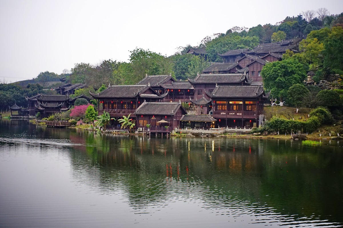 美能达50微拍园博园