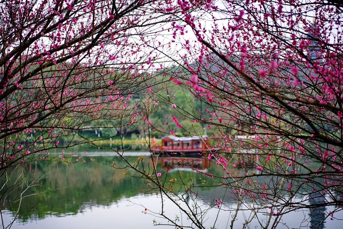 美能达50微拍园博园