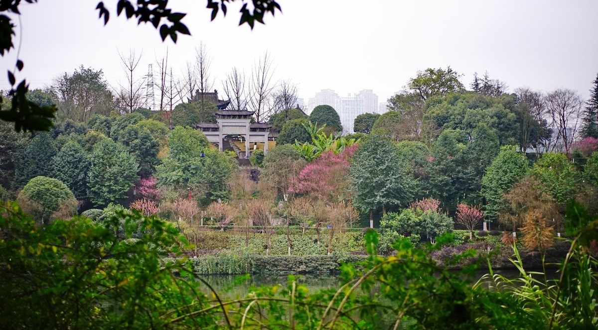 美能达50微拍园博园