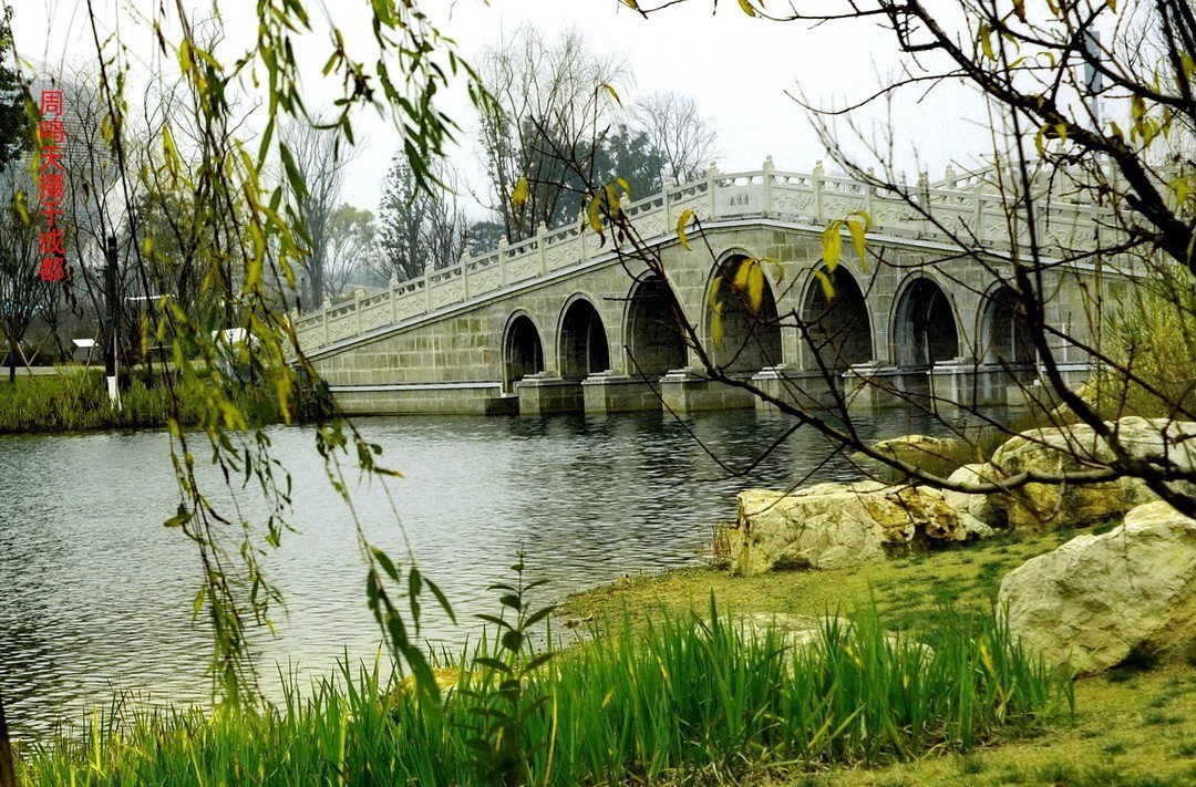 成都世大运主会场飞碟二、    周鸣天