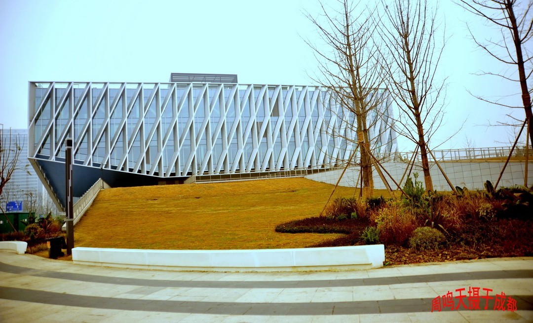 成都世大运主会场飞碟二、    周鸣天