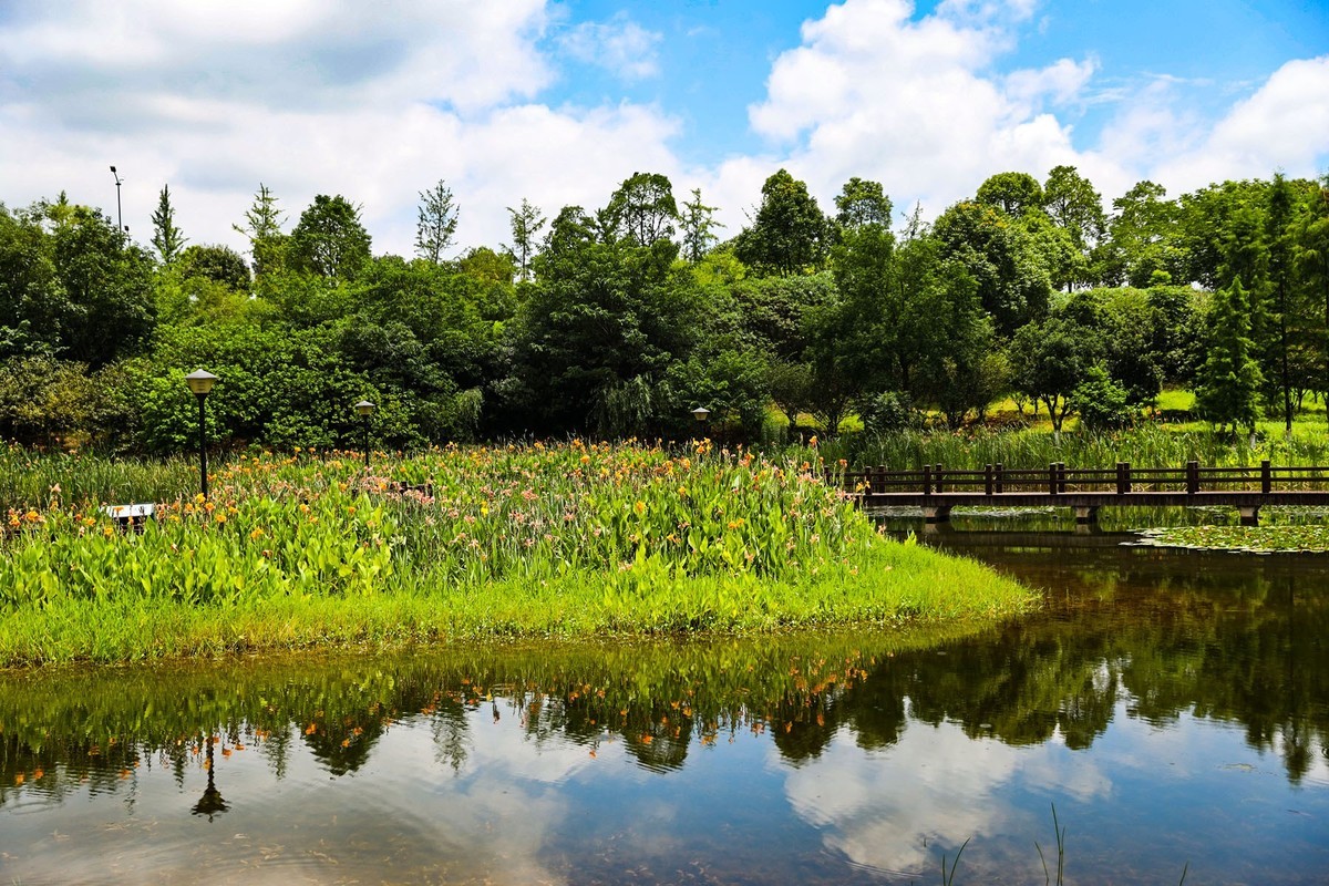 洋湖溼地公園7