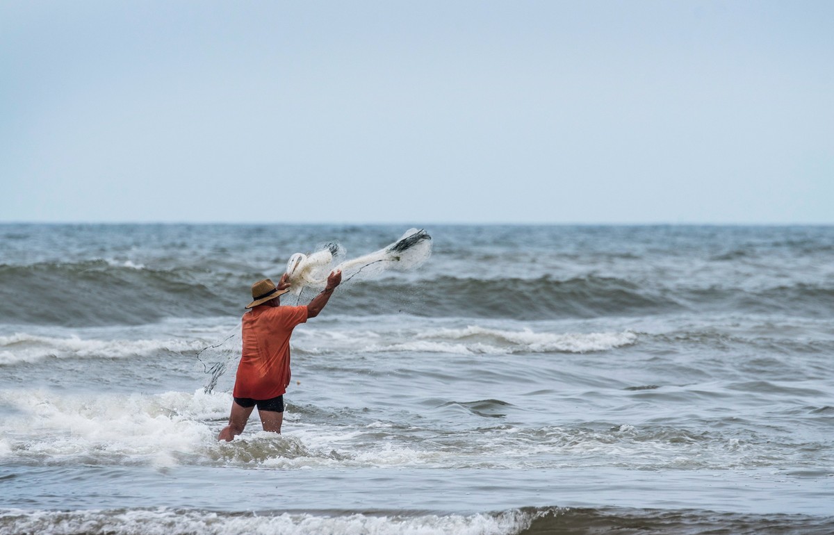 海边淘（十九）