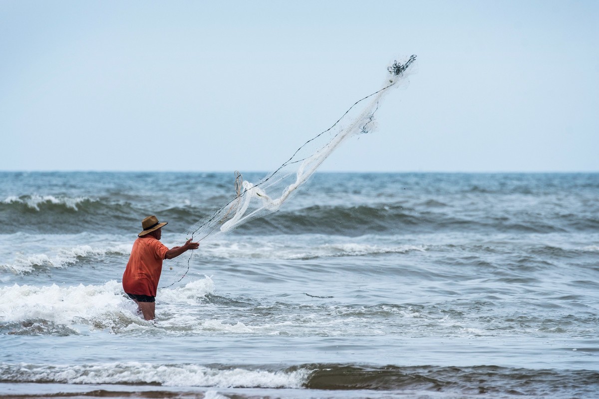 海边淘（十九）