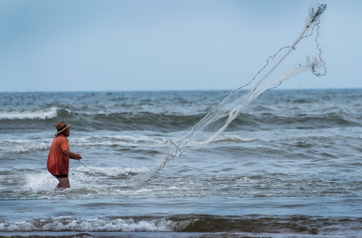 海边淘（十九）
