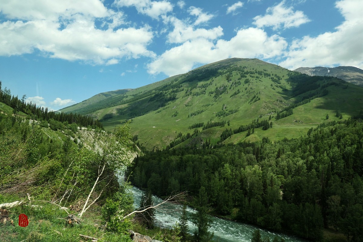 新疆游拍-喀纳斯1