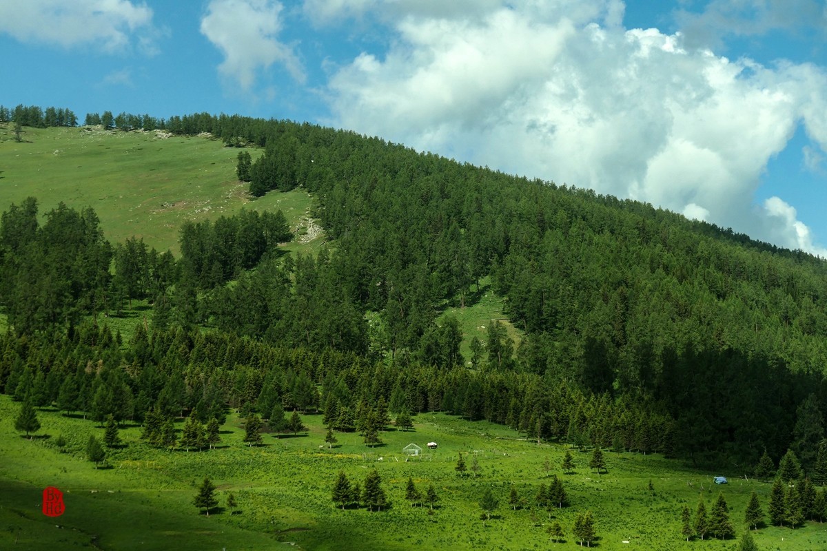 新疆游拍-喀纳斯1