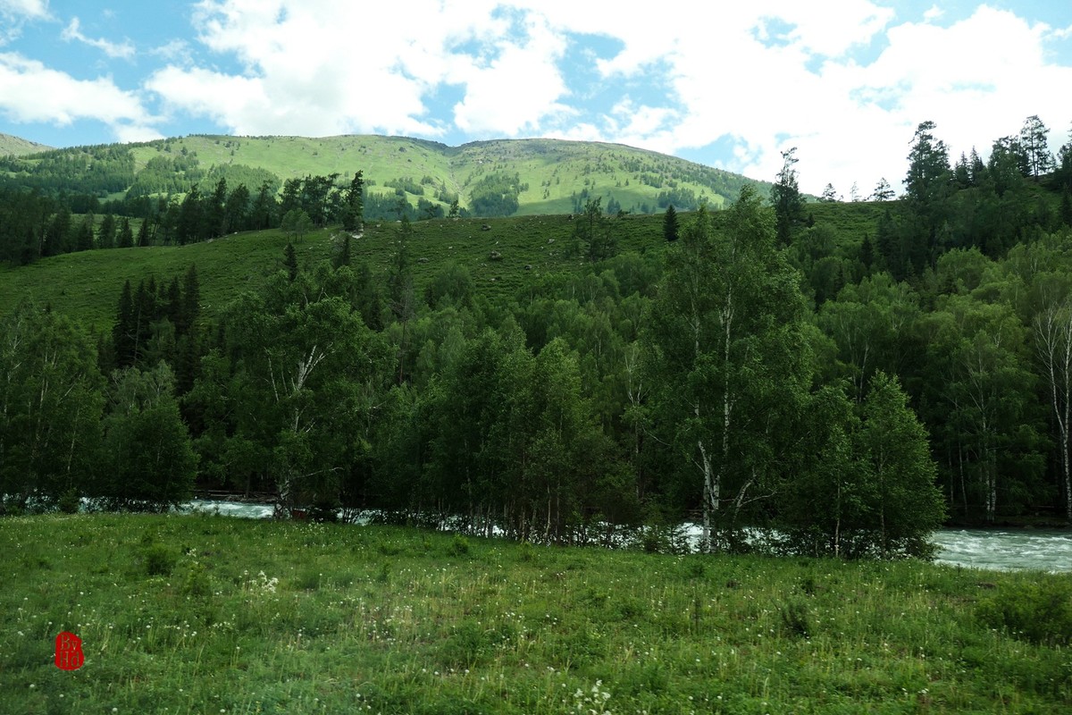 新疆游拍-喀纳斯1