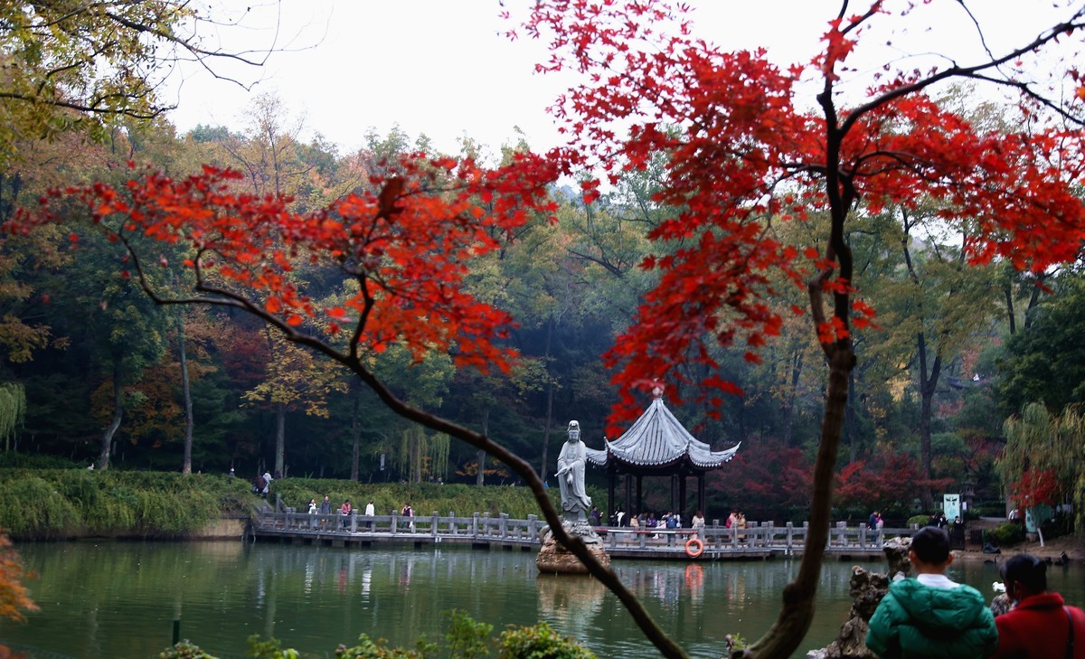 陰雨天的南京棲霞山紅葉