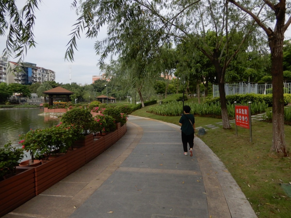 美丽的厦门郊外早晨风光摄影--130