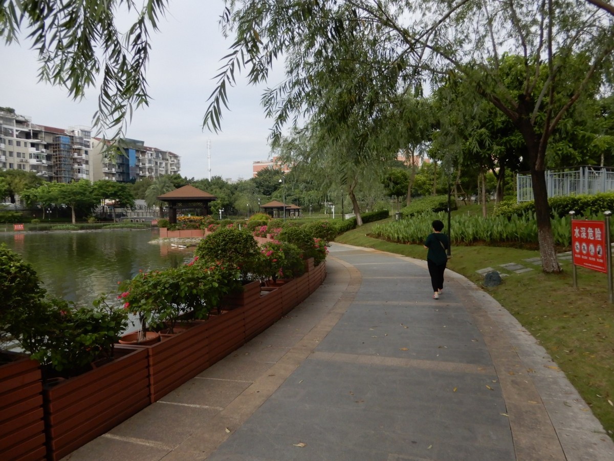 美丽的厦门郊外早晨风光摄影--130