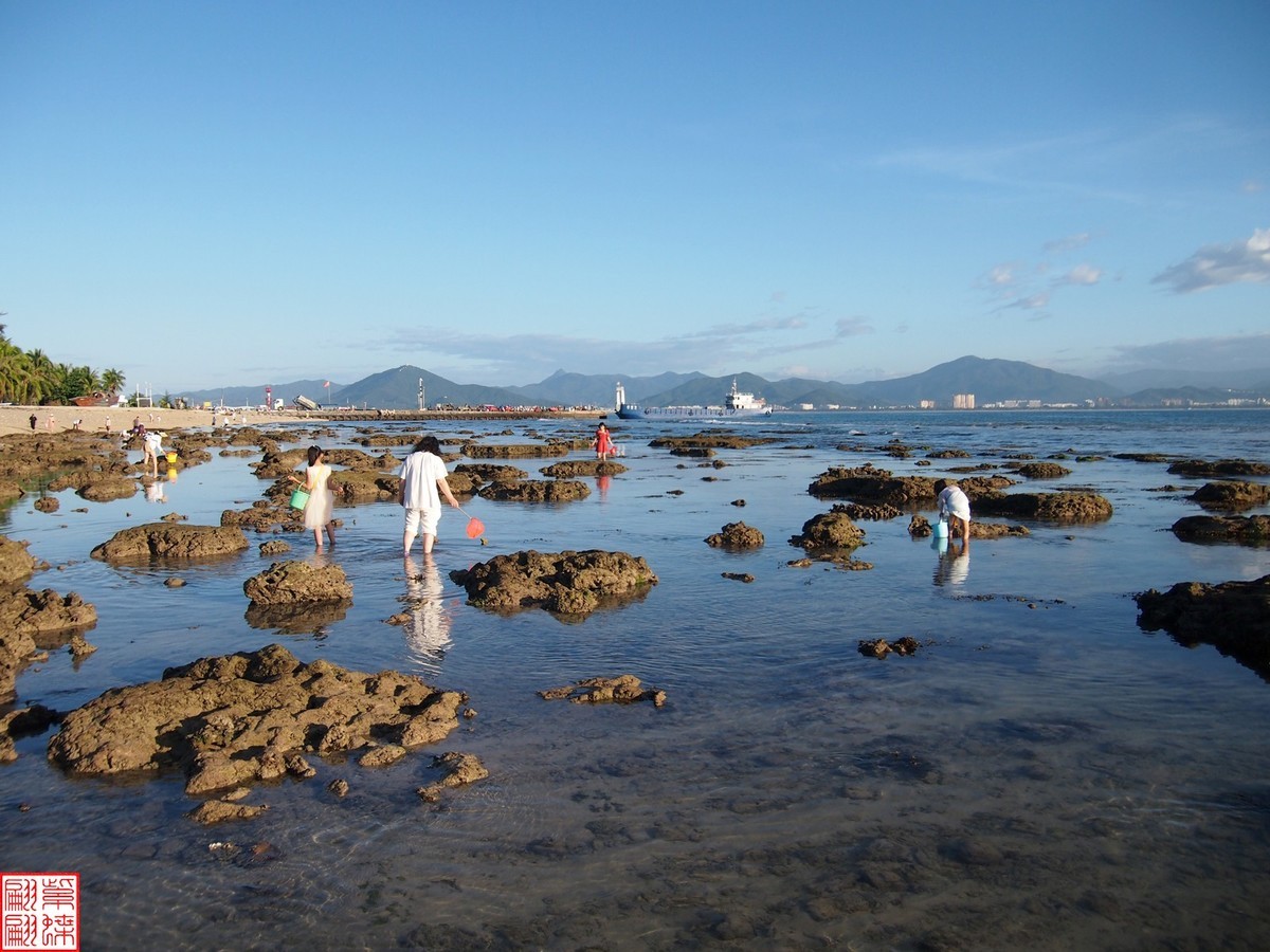 西沙群岛的美景 赶海图片