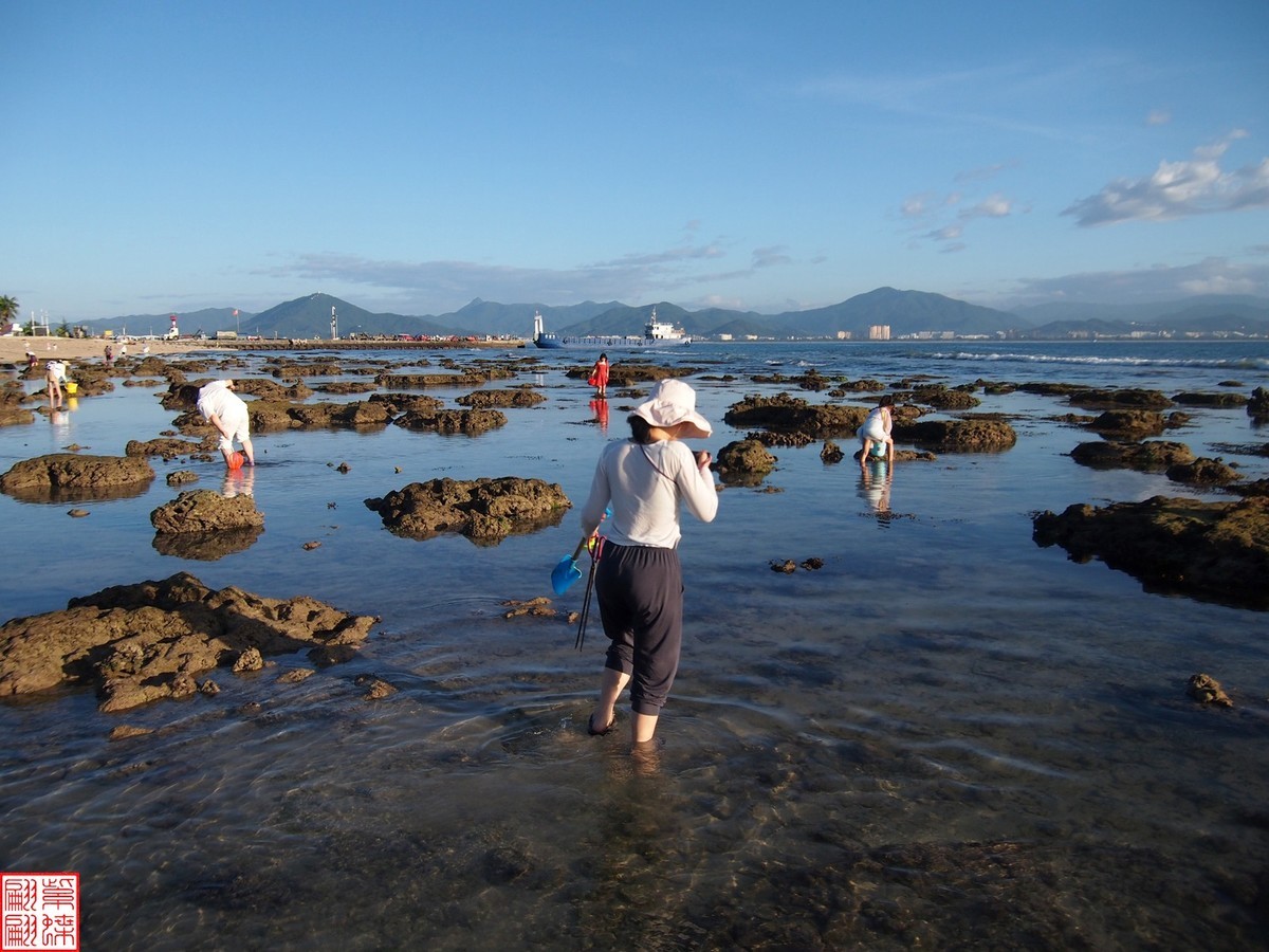 西沙群岛的美景 赶海图片