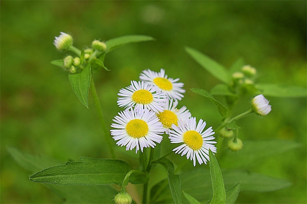 ～随拍·杂片～