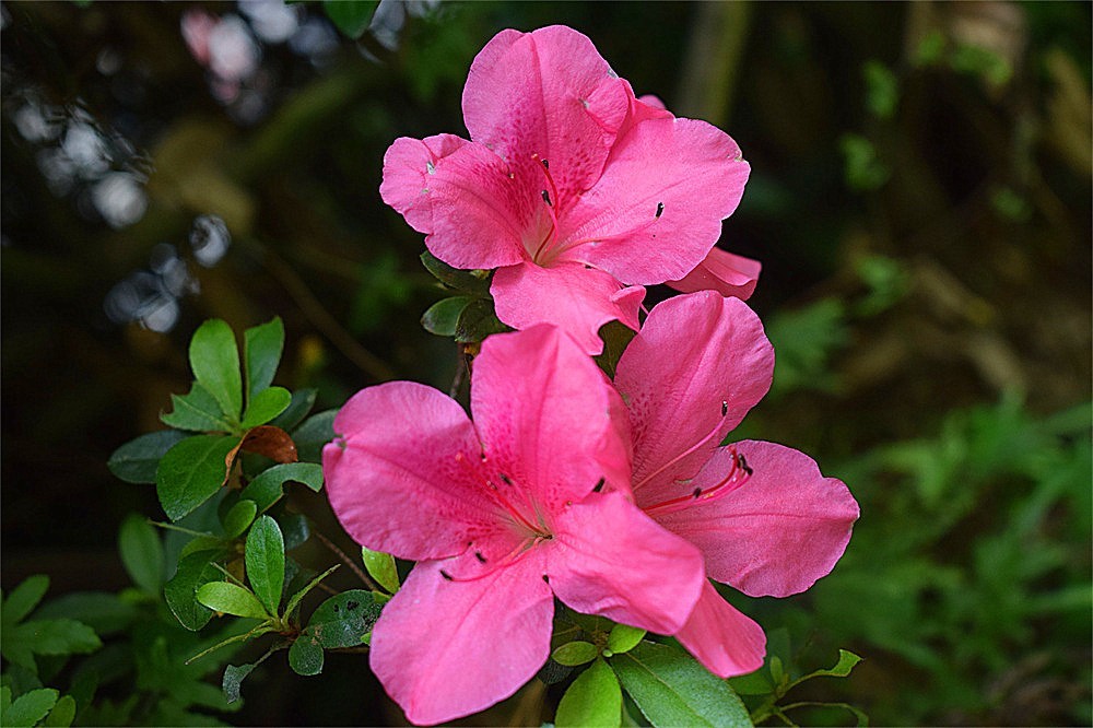 ～随拍·杂片～