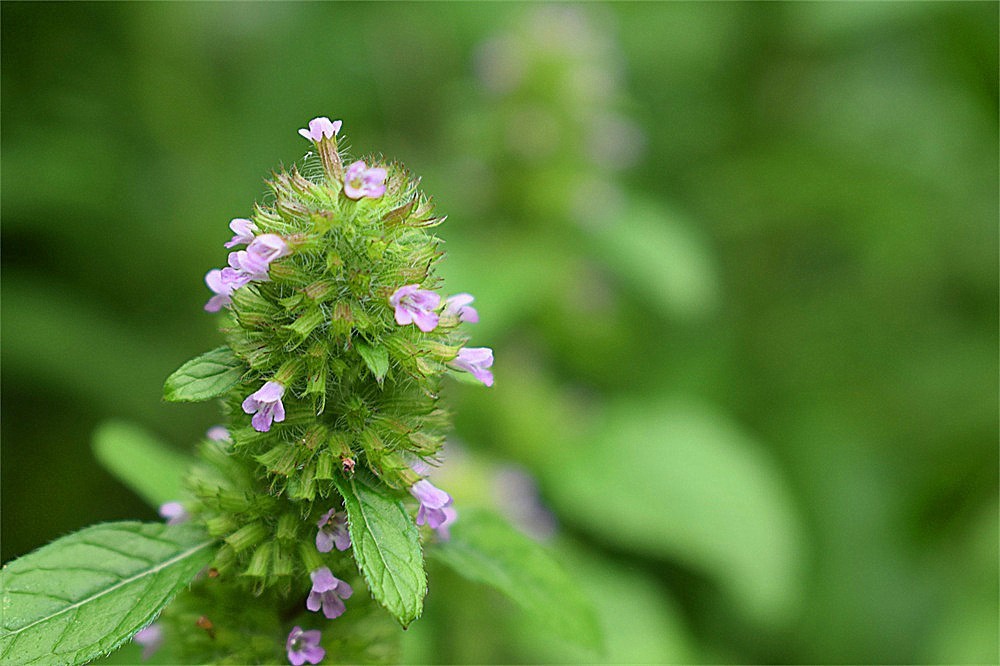 ～随拍·杂片～