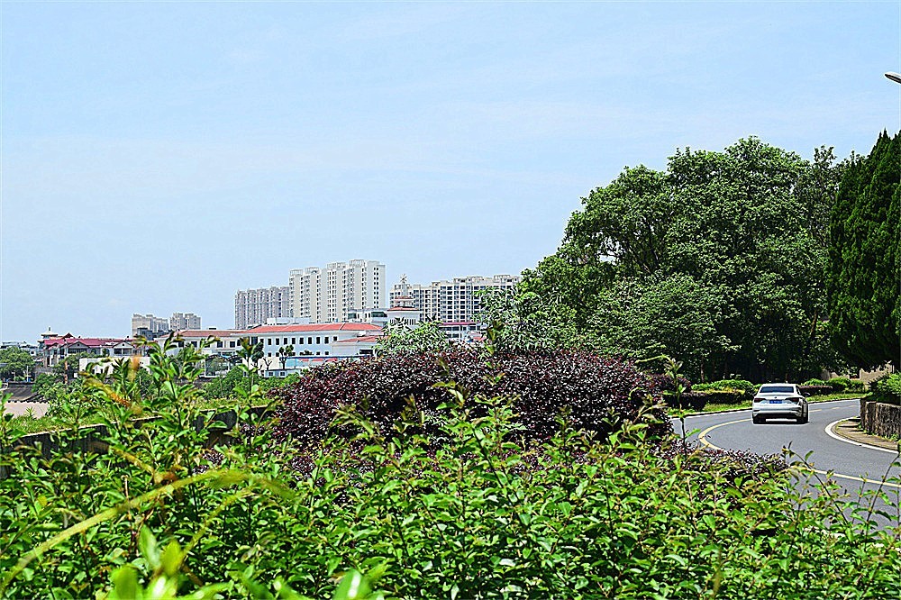 ～随拍·杂片～