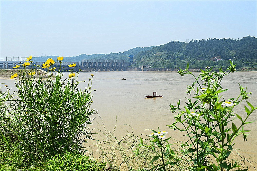 ～随拍·杂片～