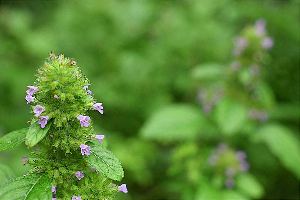 ～随拍·杂片～