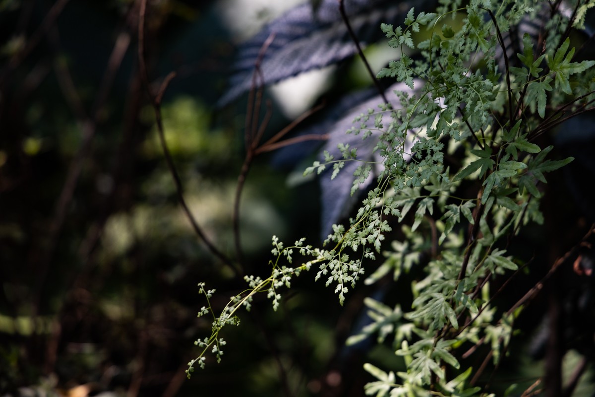 韶关——国家森林公园（3）