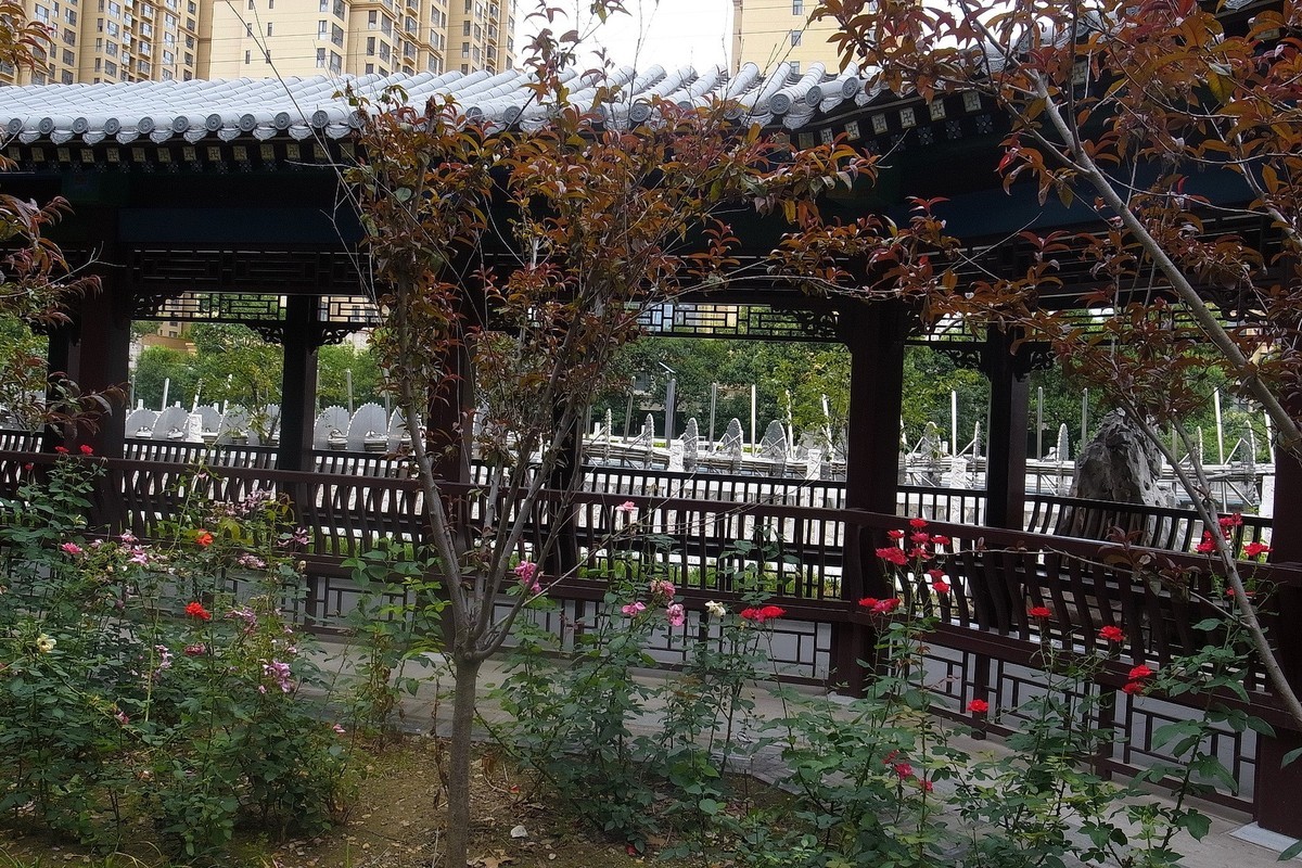 初夏·民心河畔