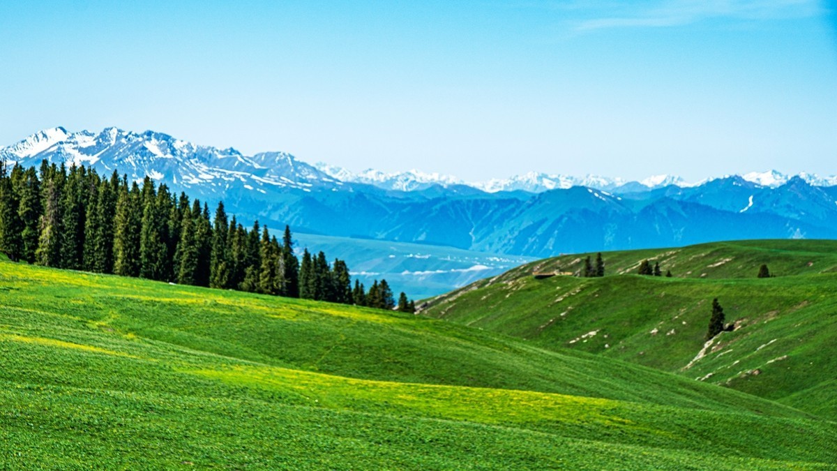 新疆行游--喀拉峻草原【7】