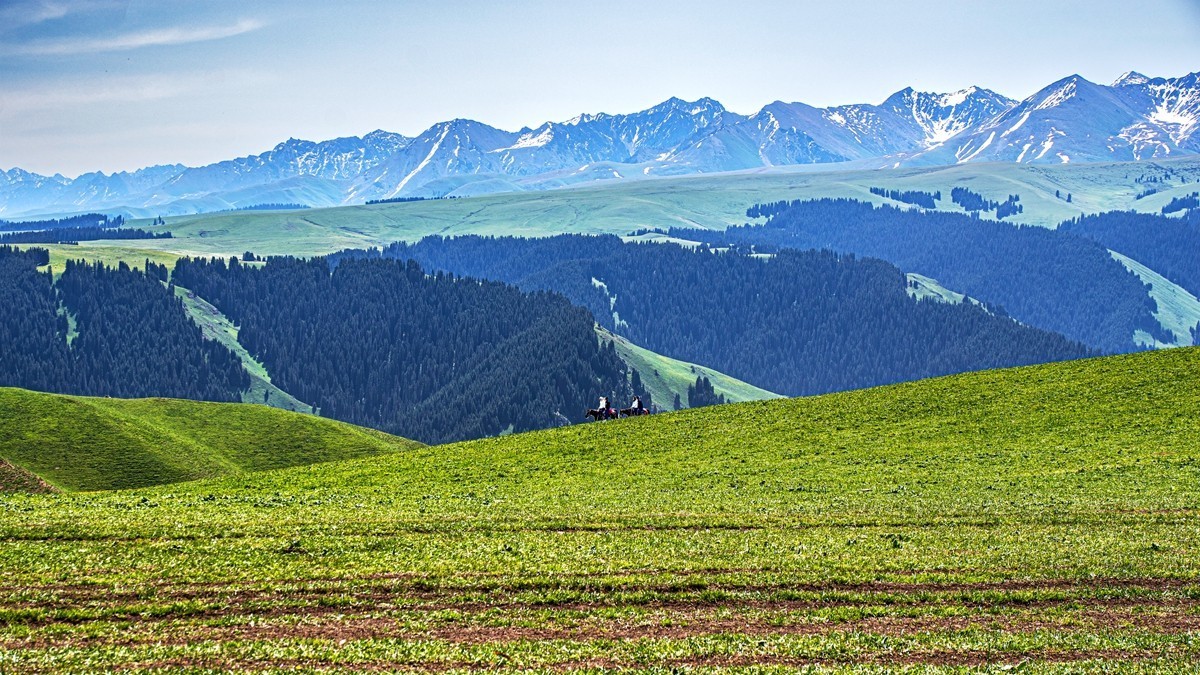 新疆行游--喀拉峻草原【7】