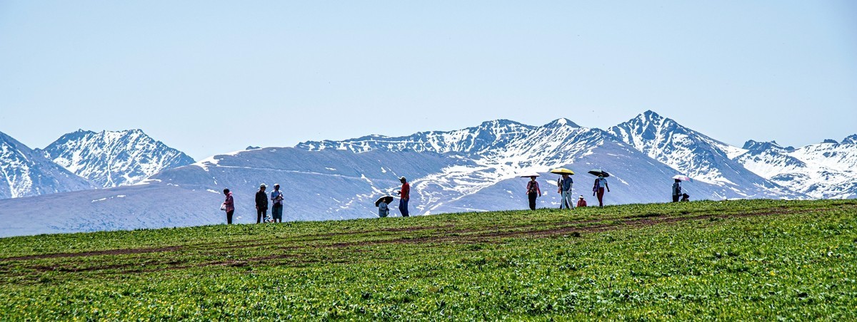 新疆行游--喀拉峻草原【7】