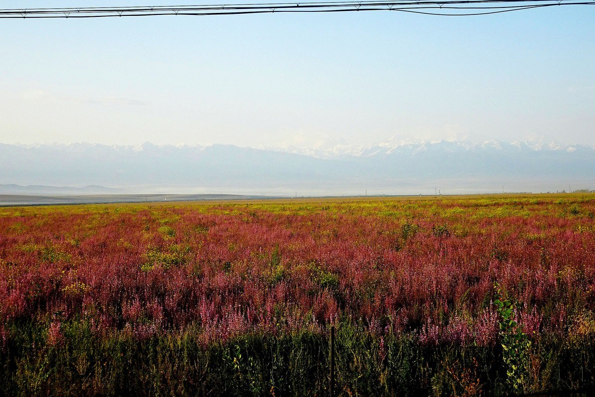 行驶在新疆伊昭公路上
