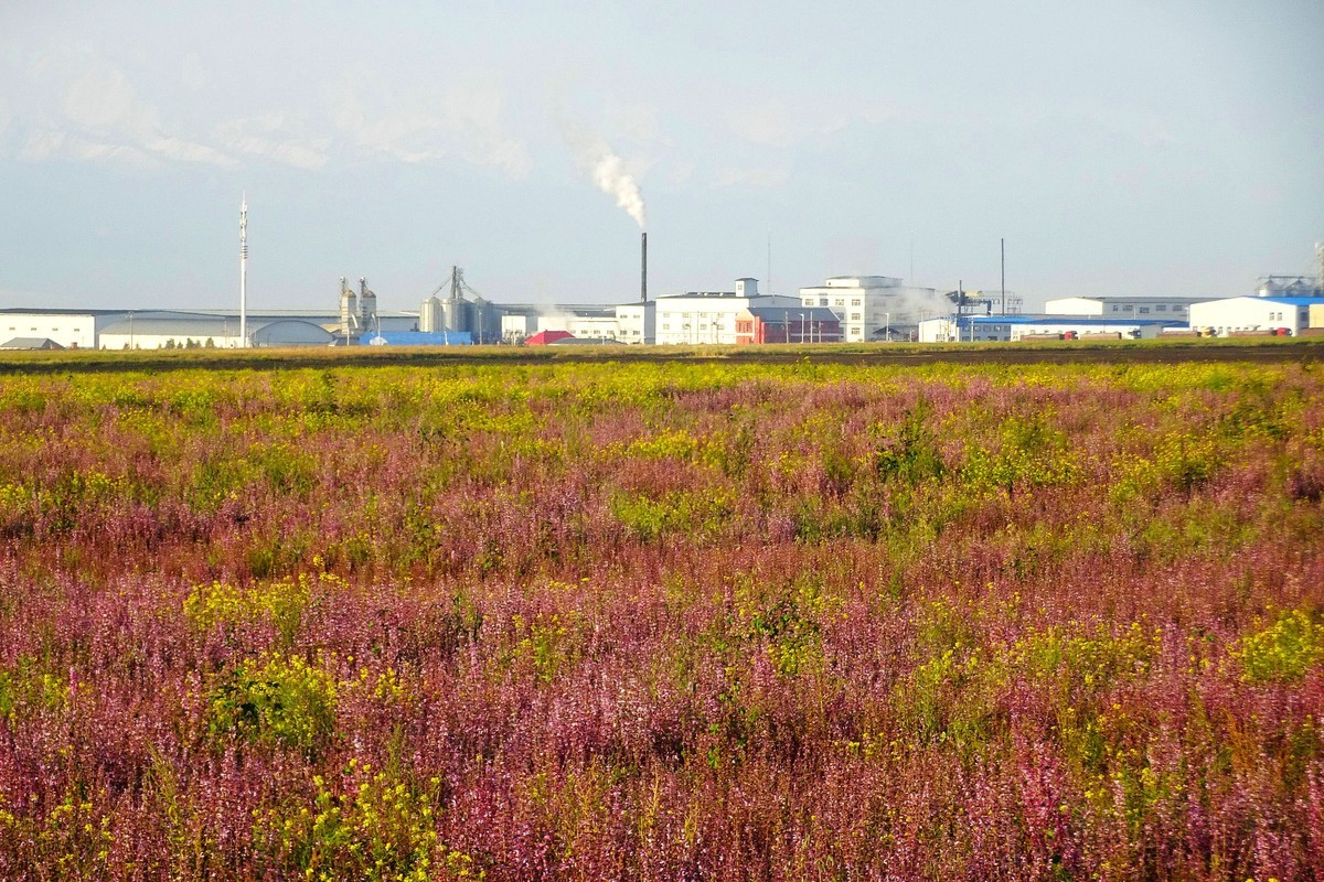 行驶在新疆伊昭公路上