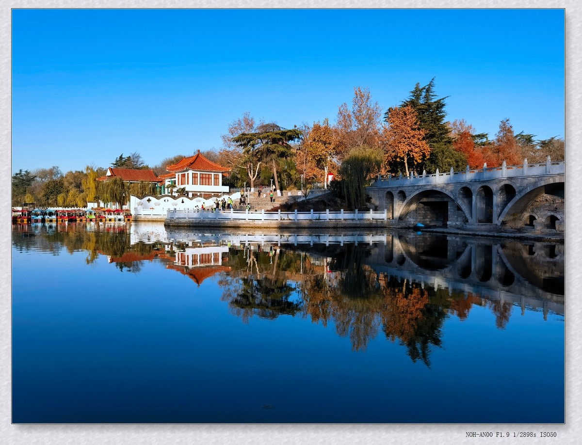 甲辰年冬拍【2024-204】